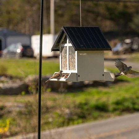 Cozy Cottage, Hot Tub, Fire Pit, 15Min To Hudson And Hiking Catskill Exterior foto