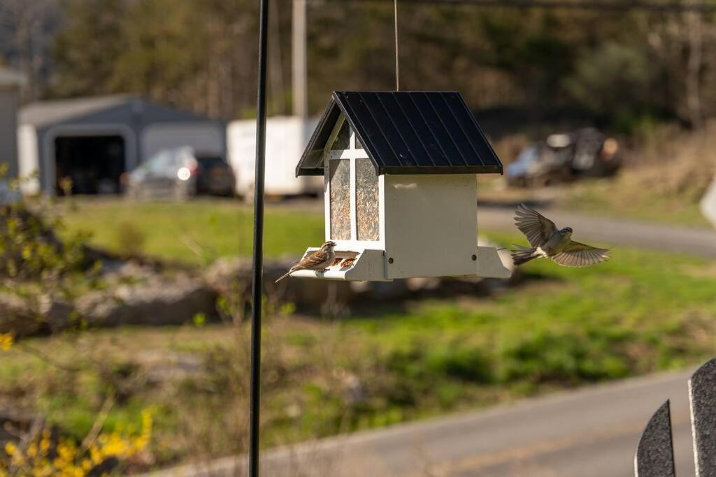 Cozy Cottage, Hot Tub, Fire Pit, 15Min To Hudson And Hiking Catskill Exterior foto